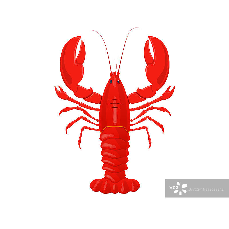 红龙虾,癌症。产品，用于餐厅，生鲜海鲜用于烹饪图片素材