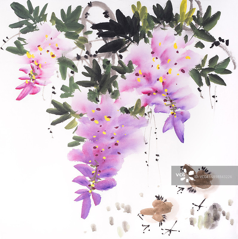 紫藤花和鸡，中国传统水墨画。图片素材