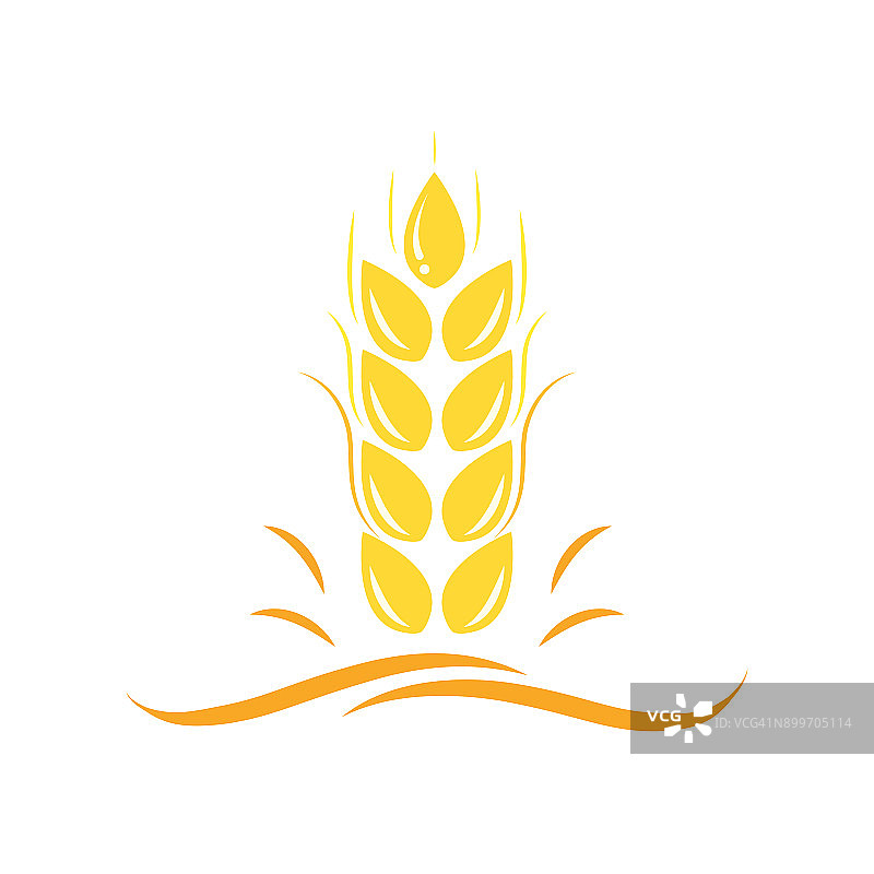 农业小麦矢量模板图标设计图片素材