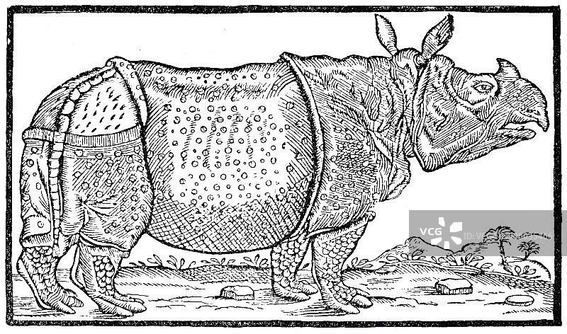 1746年德国第一头犀牛的公告图片素材