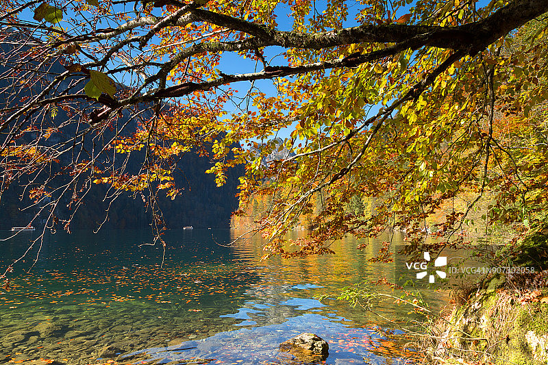 巴伐利亚州贝希特斯加登的科尼西湖，田园般宁静的秋天景色，郁郁葱葱的树叶图片素材