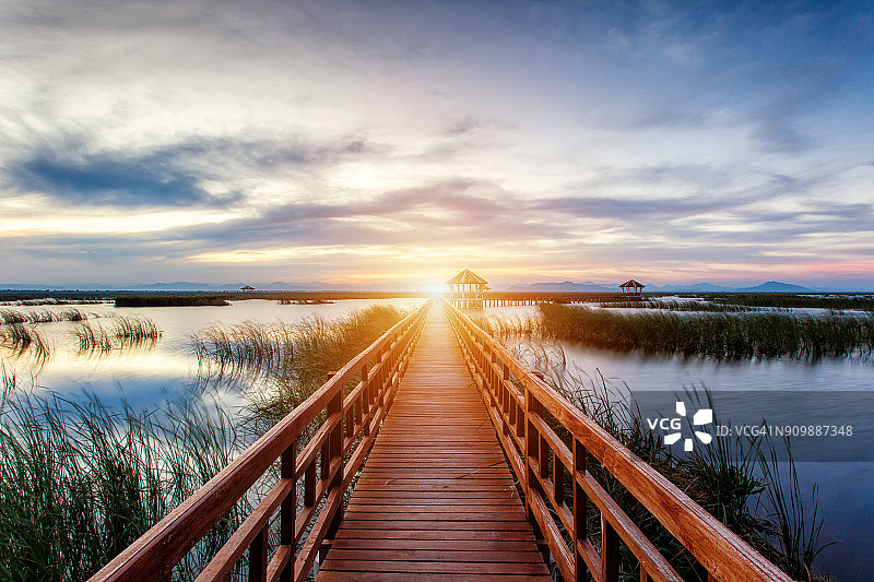 夕阳时分，泰国考森罗伊约国家公园荷花湖中的木桥图片素材