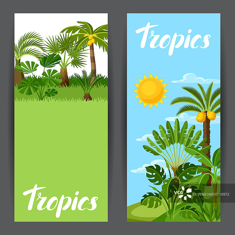 印有热带棕榈树的横幅。奇异的热带植物，丛林自然的插图图片素材