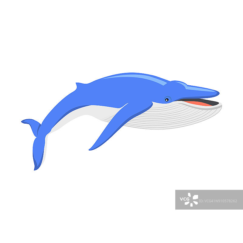 蓝鲸孤立在白色背景图片素材