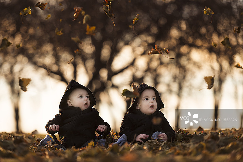 15个月大的双胞胎兄弟在爱荷华农场的晚秋黄昏坐在草地和树叶上图片素材