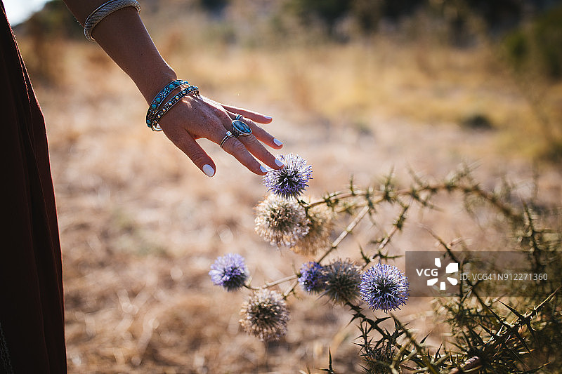 年轻的波西米亚女孩的手触摸野花在田野的特写图片素材