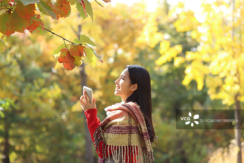 一名女子在秋季公园使用智能手机图片素材