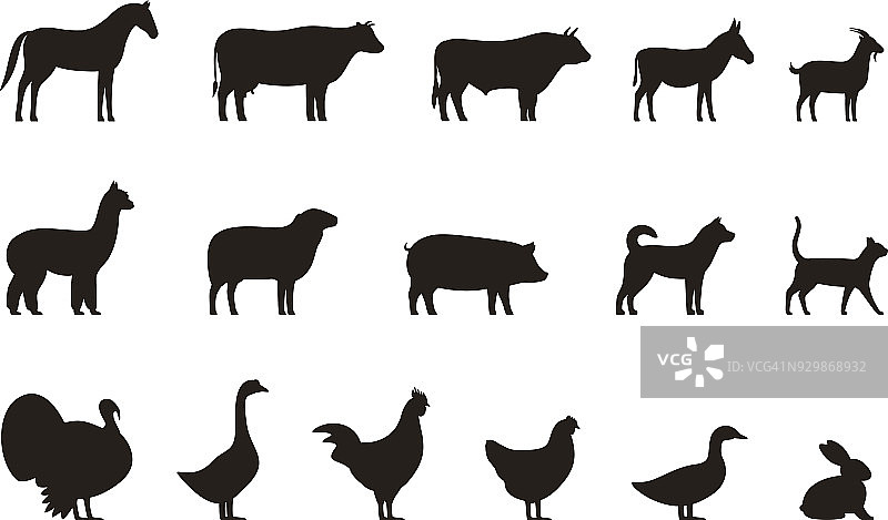 农场动物黑色图标设置，牲畜，矢量插图图片素材