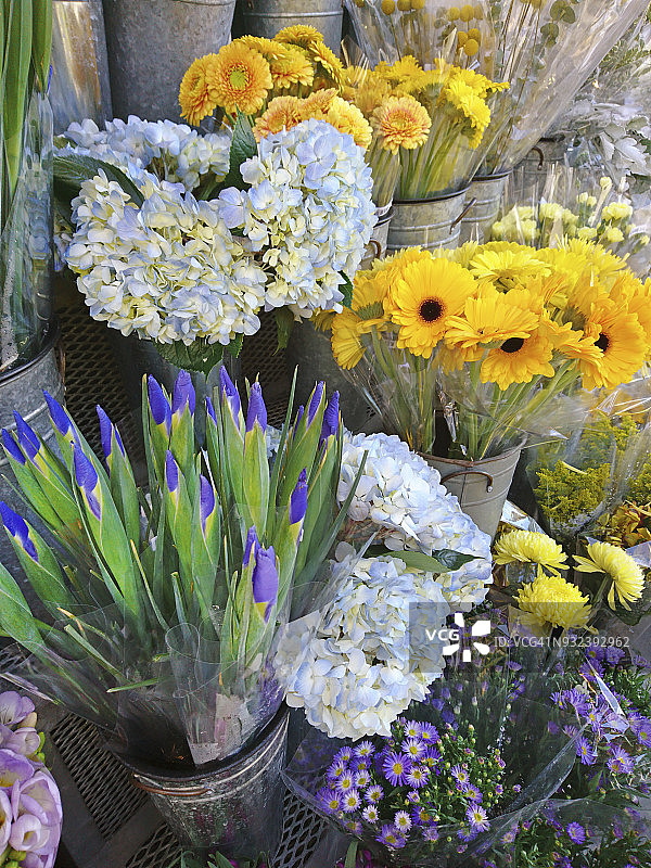 花卉市场展示各种不同颜色的花朵在单独的容器。图片素材