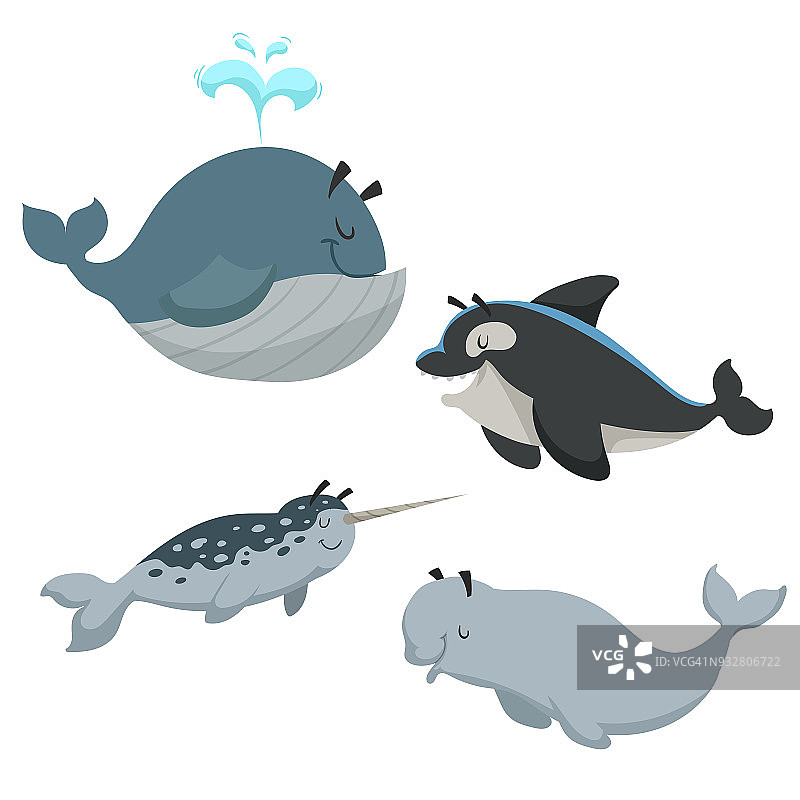 卡通肖恩动物设置。有喷泉的鲸鱼、虎鲸、白鲸和独角鲸。海洋和北方海洋的动物。儿童教育矢量插图集。图片素材