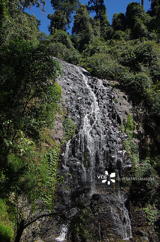 澳大利亚新南威尔士州多里戈国家公园的特里斯塔尼亚瀑布图片素材
