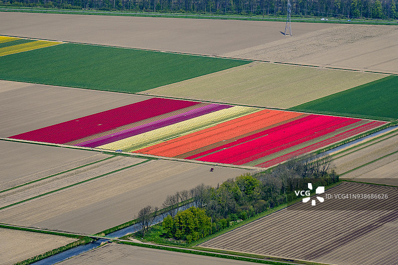 荷兰春季郁金香花海的鸟瞰图图片素材