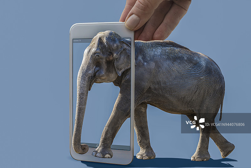手机显示大象从手机里出来图片素材