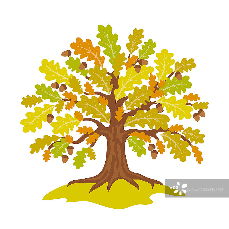 风格化的橡树在秋天向量插图图片素材