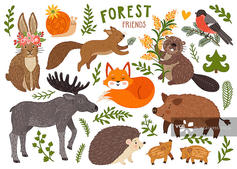 矢量套可爱的森林动物:狐狸，刺猬，野猪宝宝，兔子，麋鹿，松鼠，海狸，蜗牛，红腹灰雀。卡通人物被隔离在白色上。图片素材