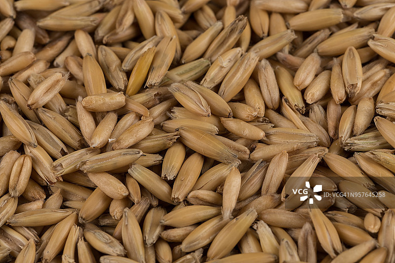 以天然燕麦粒为背景，特写镜头图片素材