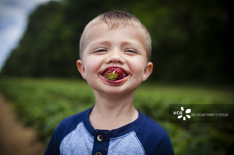 快乐的小男孩站在地里吃草莓图片素材