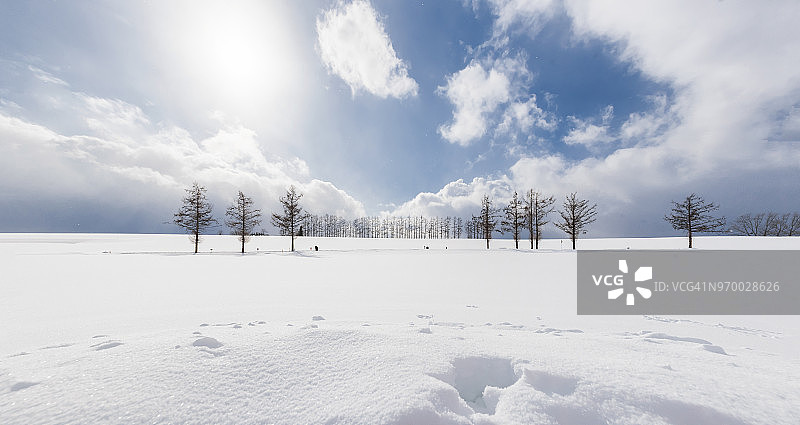 冬季的温和七山，北海道，日本图片素材