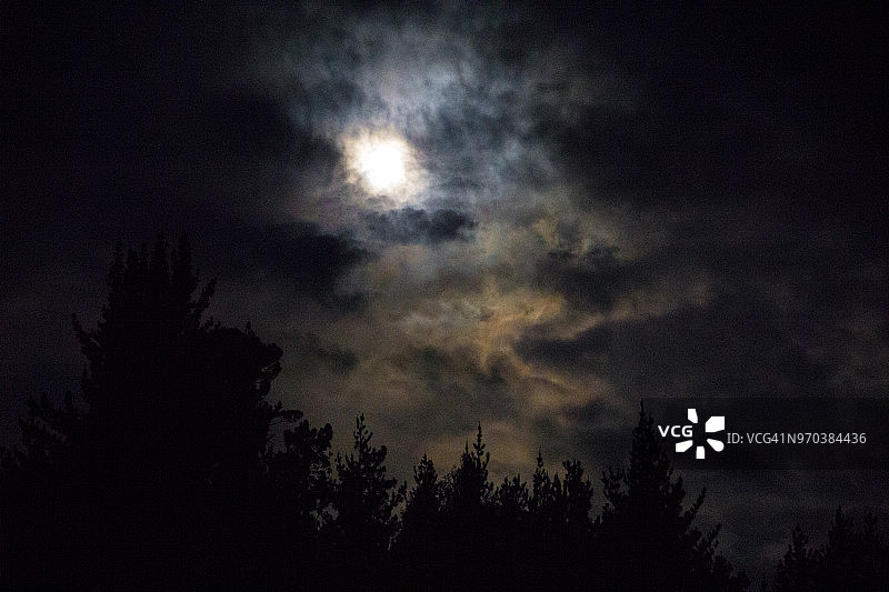 在南非东开普省的Hogsback地区，一轮满月的穿透光勇敢地穿过一片松树林上空的乌云。图片素材