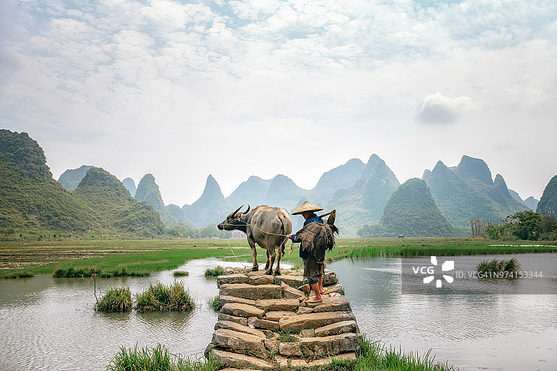 中国农民和水牛在石桥上图片素材