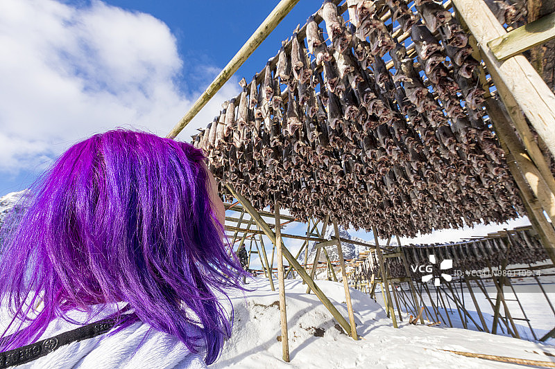 挪威罗浮敦群岛的莱因，一名长着紫红色头发的妇女正在木架上看鳕鱼图片素材