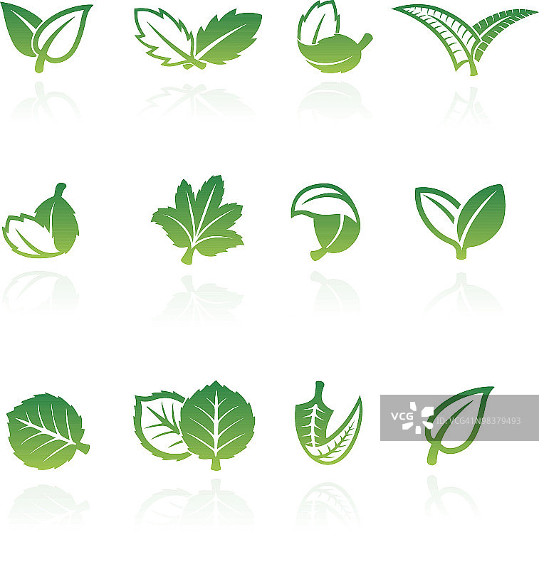 九套绿色和白色矢量叶插图图片素材