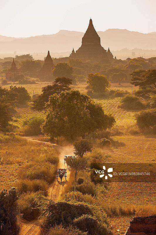 美丽的日落和马车附近的古城蒲甘，缅甸图片素材
