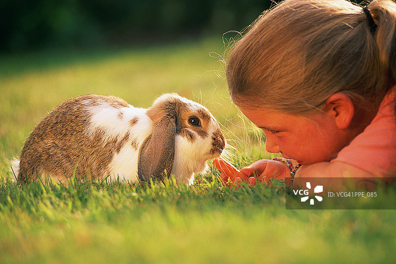 女孩躺在草地上，给兔子喂胡萝卜图片素材