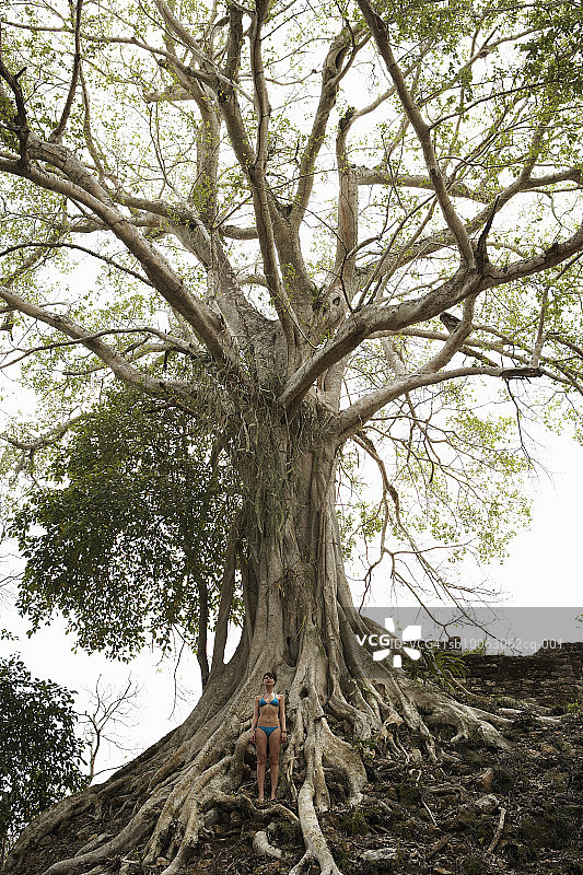 穿着比基尼的年轻女子站在树根上的老树，低角度观看图片素材