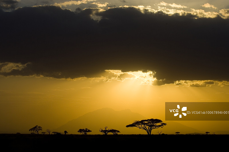 肯尼亚，安博塞利国家公园，日落图片素材