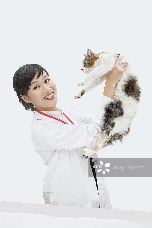 肖像的女兽医举起猫在灰色的背景图片素材