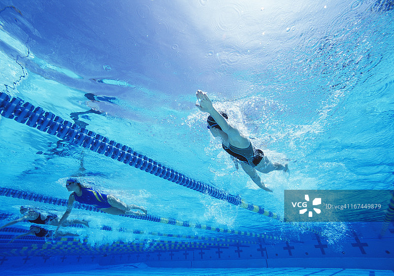 女游泳运动员在游泳池游泳图片素材