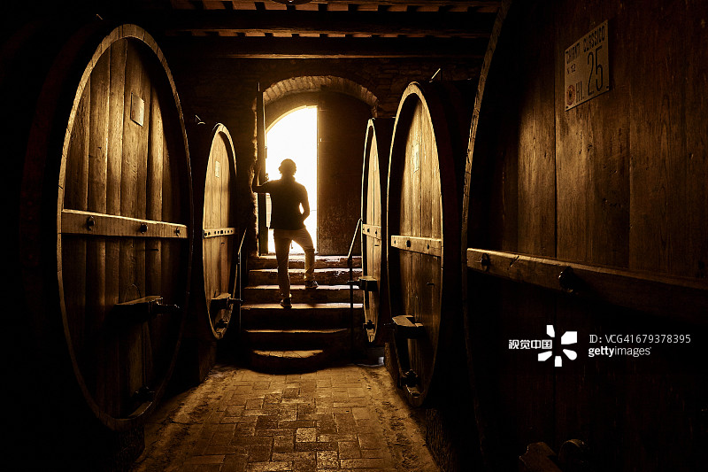 酒窖在基安蒂葡萄酒国家，托斯卡纳图片素材