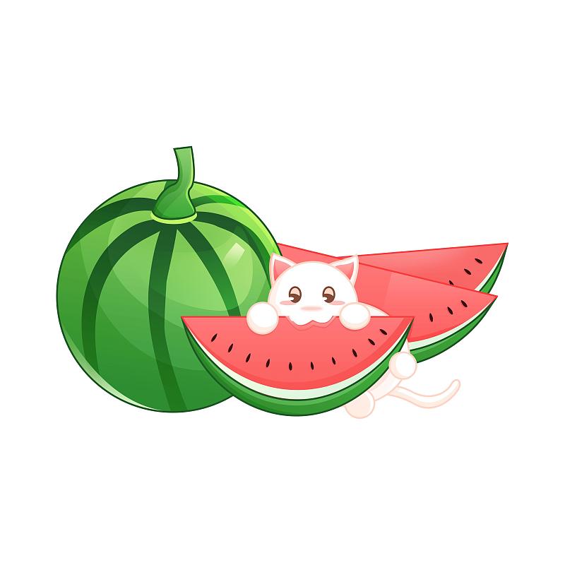 可爱卡通风格的小猫吃西瓜图片下载