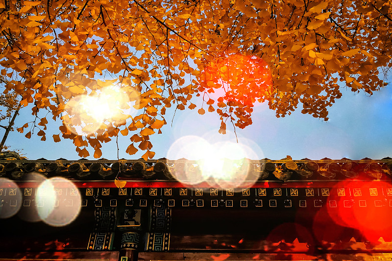 北京秋日暖阳图片素材