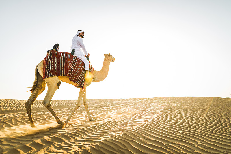 沙漠中骑着骆驼的阿拉伯人图片下载