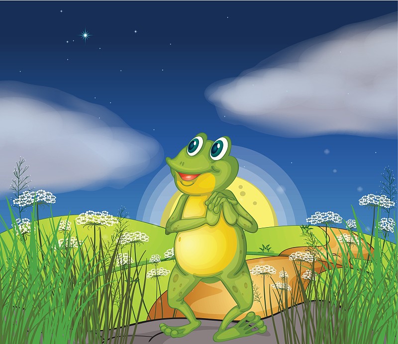 一只青蛙看着那颗明亮的星星图片