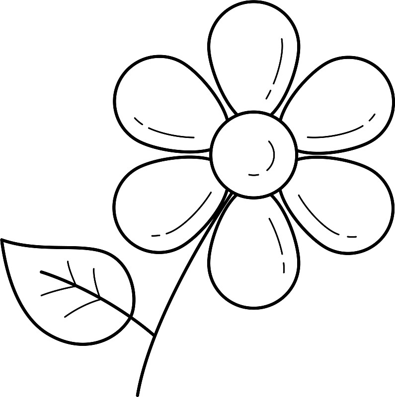 小雏菊花朵简笔画图片