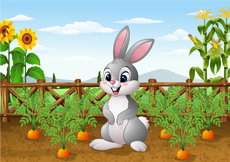 兔子胡萝卜壁纸卡通图片