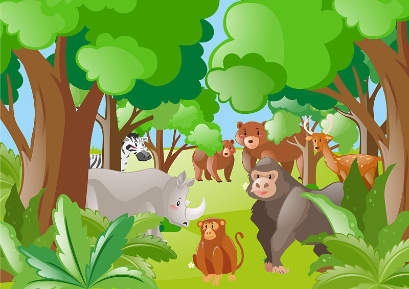 讲森林里的动物动画片图片