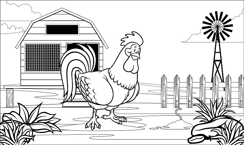 黑白涂色页公鸡在农场图片