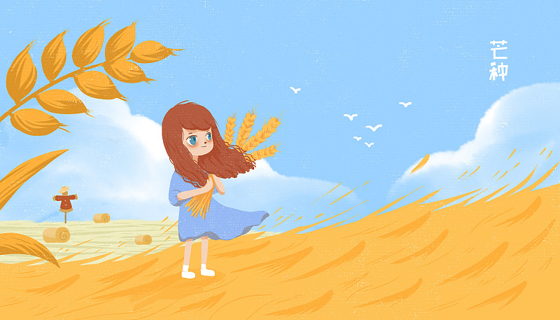 二十四节气芒种插画 插田间抱着小麦的女孩图片