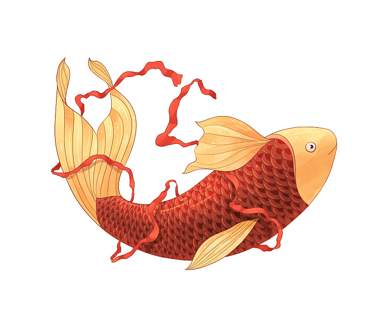 红色绸带鲤鱼插画图素图片