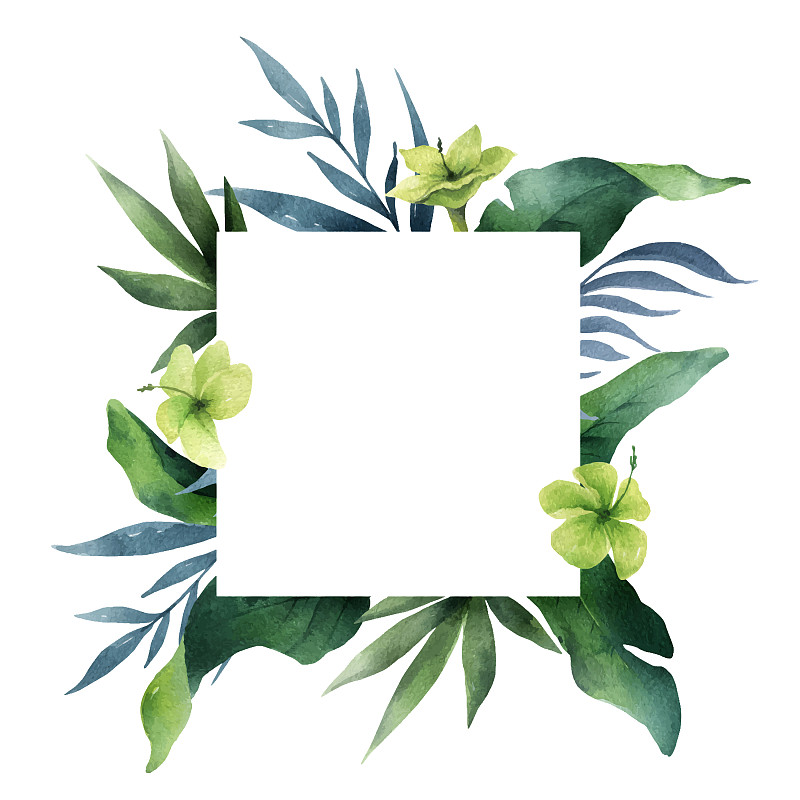 水彩画绿卡热带树叶和图片下载