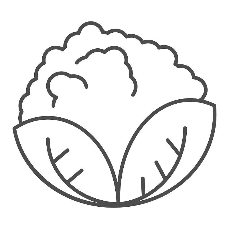 菠菜叶图标轮廓风格—正版高清下载,购买