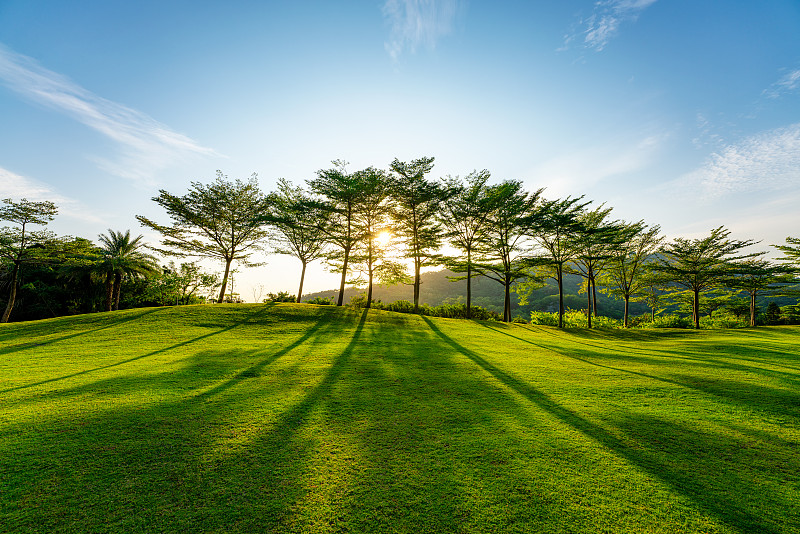 厦门城市风光-阳光下的上李水库公园草坪图片下载