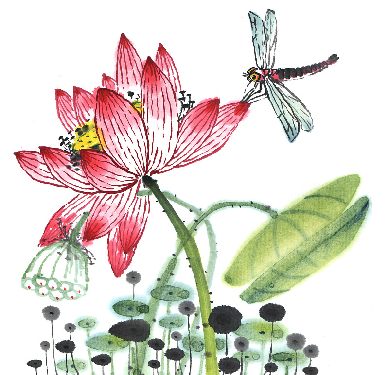 国画水墨插画-绽放的荷花和蜻蜓下载