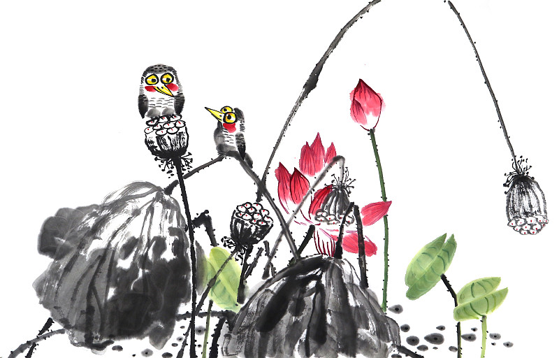 中国画水墨插画动物-站在莲蓬上的两只小鸟下载