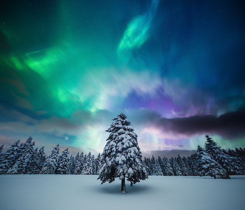 冬季景观与北极光图片下载