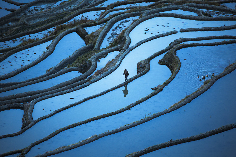 一名男性游客正在参观中国云南的鸳鸯梯田图片下载